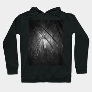 Bamboo Forest Hoodie